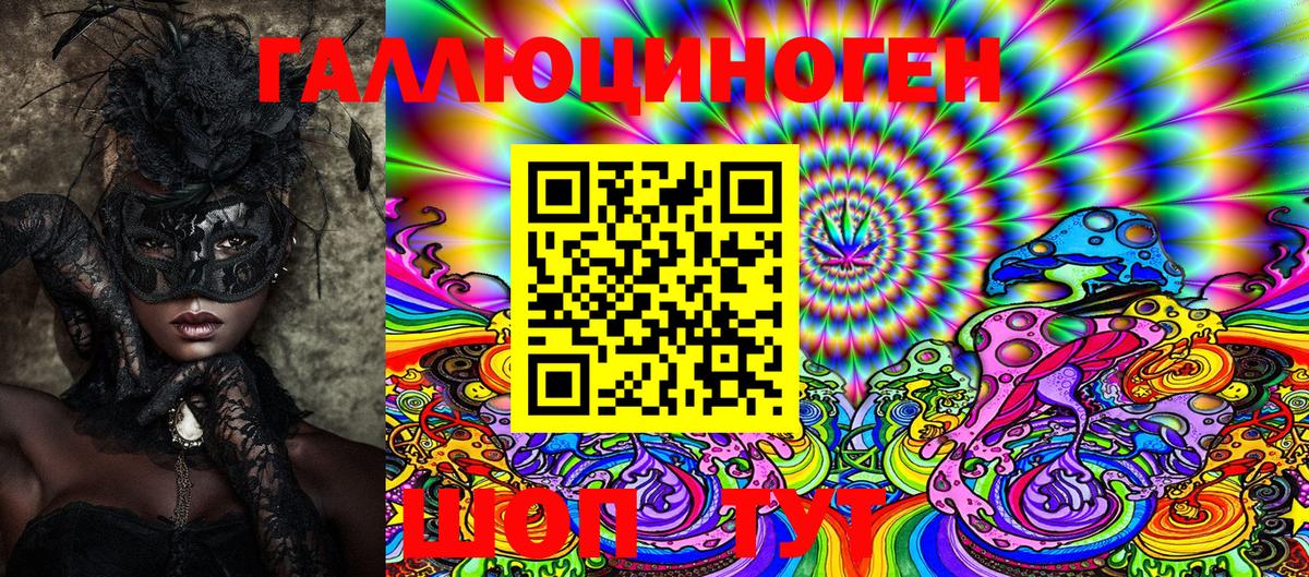 Галлюциногенные грибы Psilocybine cubensis Тельмана